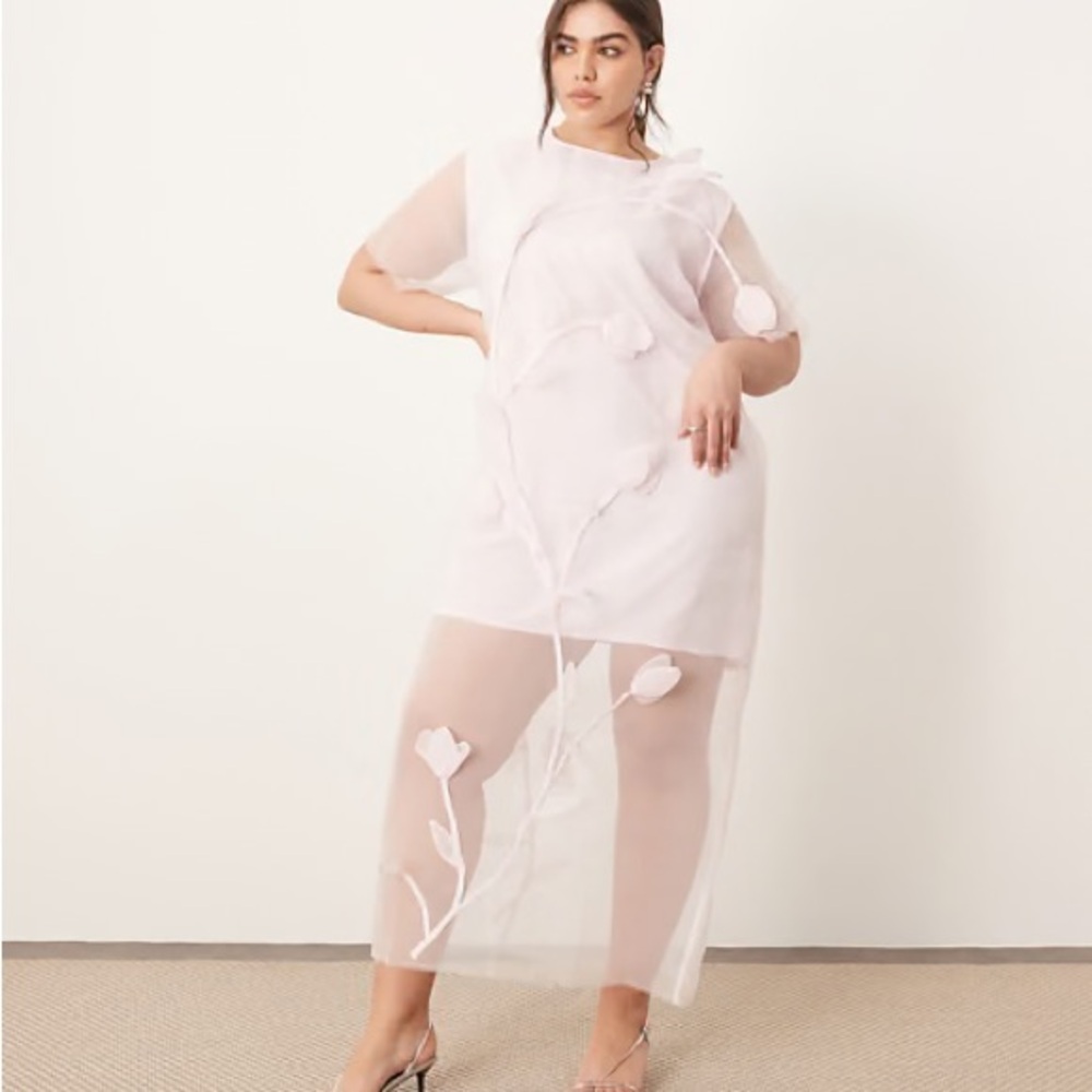 Sheer Embroidered Midi Dress in Pale Pink